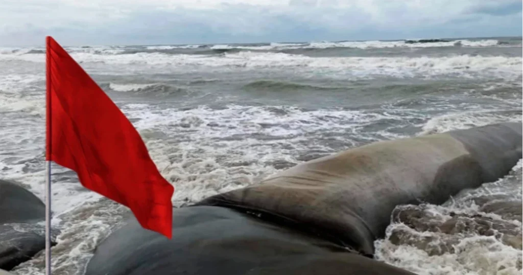 উপকূলীয় এলাকায় লঘুচাপ, ৪ সমুদ্রবন্দরে তিন নম্বর সতর্কতা সংকেত